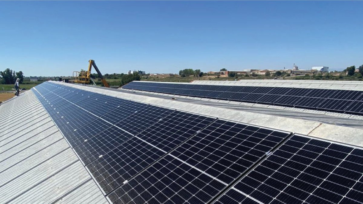 El projecte de Bellpuig, aprovat el 2021, tenia un pressupost de 77.000 euros. - ajuntament de bellpuig