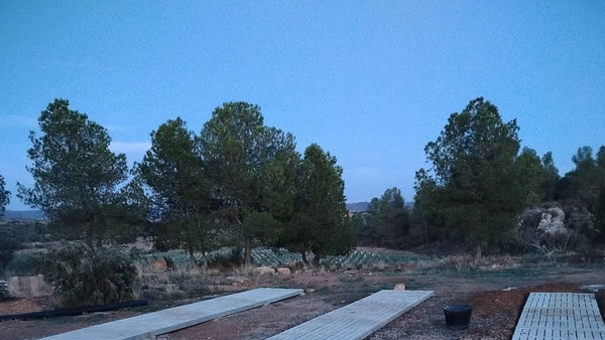 Los últimos trabajos que se están llevando a cabo en el cementerio de mascotas. - A.J.T.