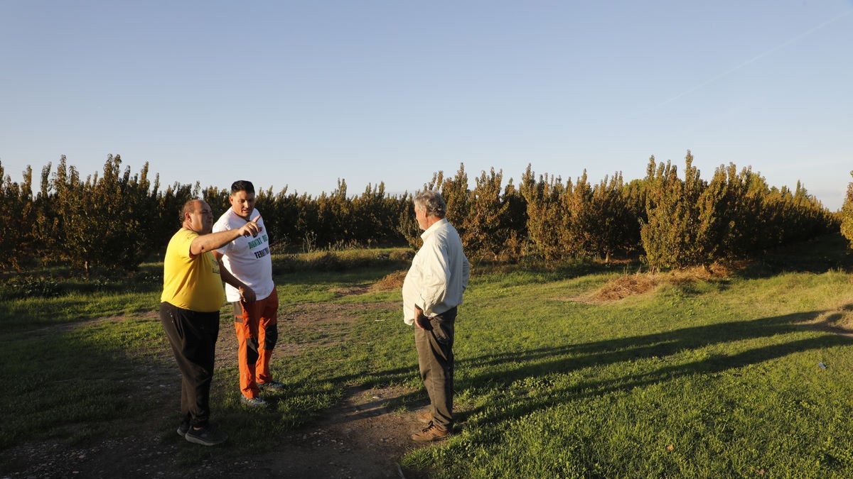Algunos de los afectados que reclaman que las torres se instalen en otras ubicaciones. - AMADO FORROLLA