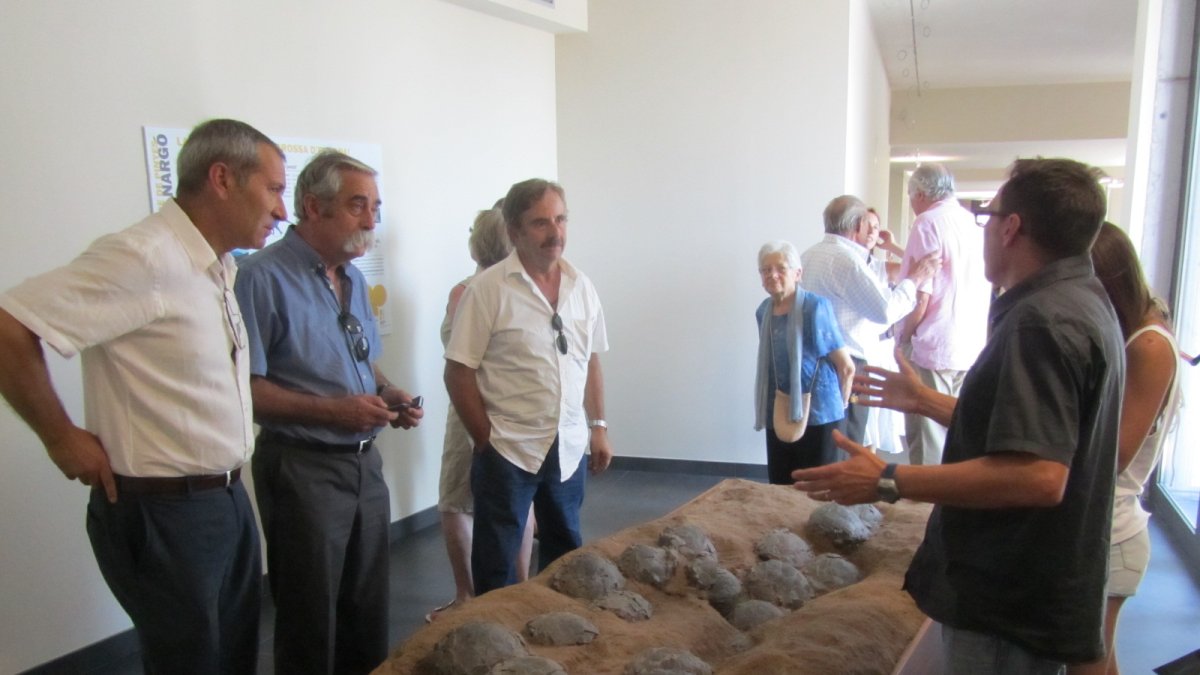 La posta d’ous de dinosaure més gran recuperada a Europa.