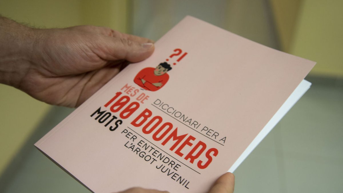 Portada del ‘Diccionari per a boomers’, editat a Tàrrega. - LAIA PEDRÓS