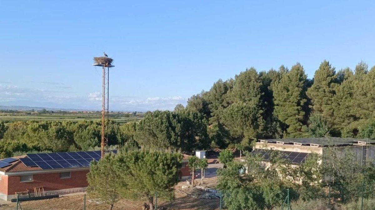 La planta potabilitzadora de Golmés. - A. GOLMÉS