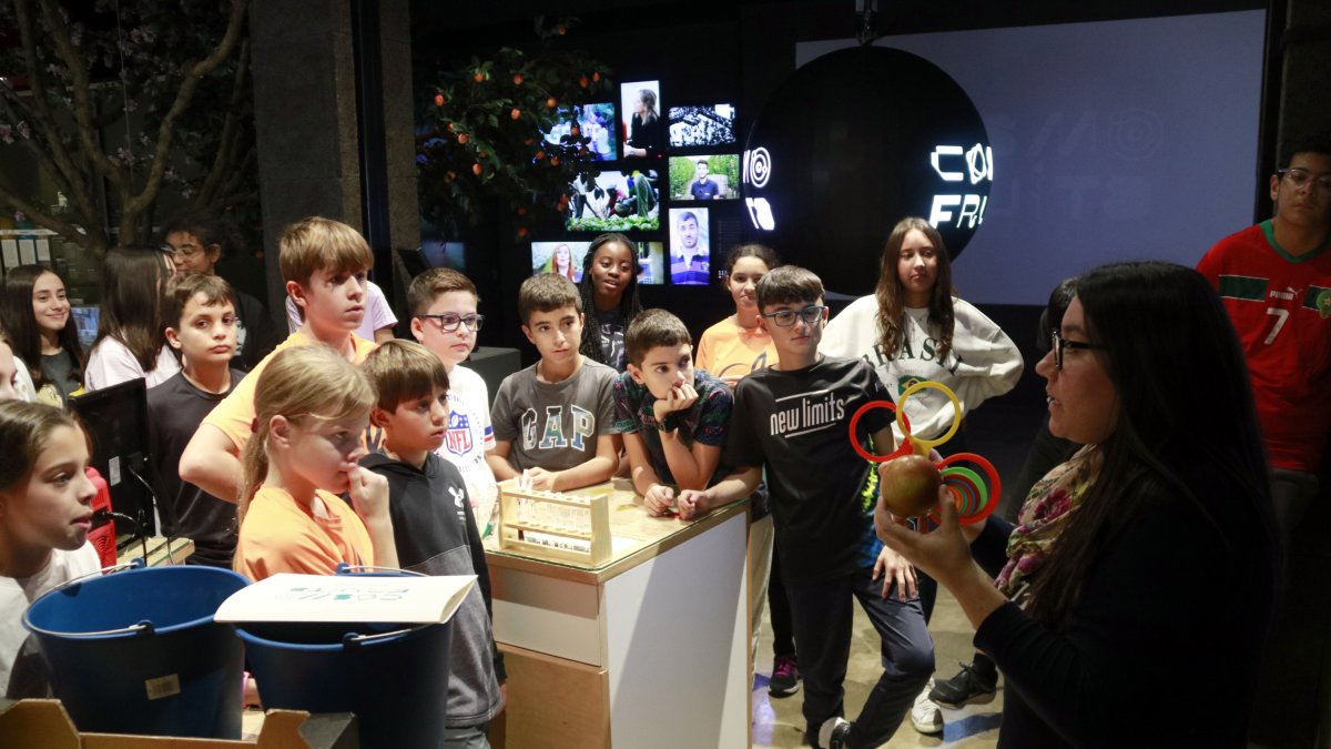 Alumnes de 1r d'ESO de l'Institut Samuel Gili i Gaya de Lleida durant una visita al Cosmofruita