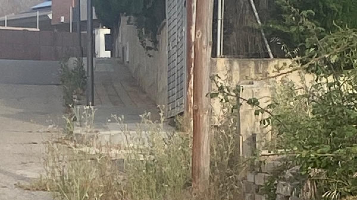 Vorera amb males herbes a la urbanització del Tennis Lleida.
