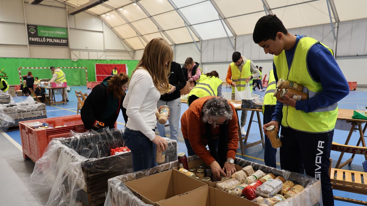 Recogida y clasificación de los productos ayer en el pabellón Polivalent de Alcarràs. - AMADO FORROLLA