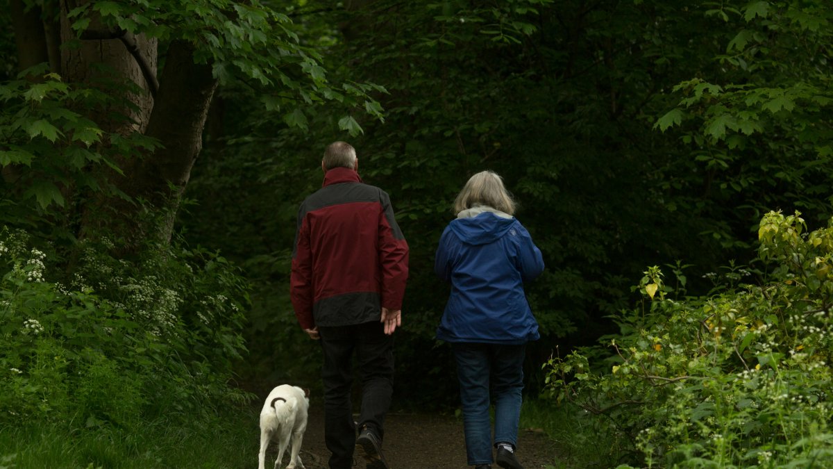 Una pareja de jubilados pasea por el bosque.
