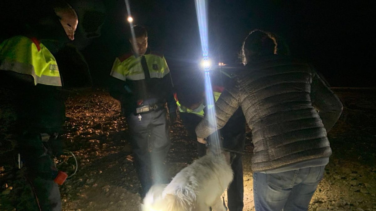 El perro fue rescatado por los Mossos y los Bomberos en noviembre de 2021. - MOSSOS D’ESQUADRA