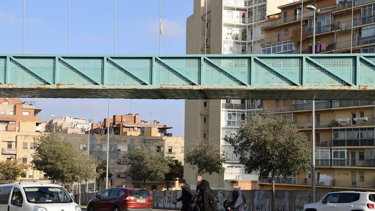 Joves travessant la carretera a peu a més d’utilitzar el pas elevat. - AMADO FORROLLA