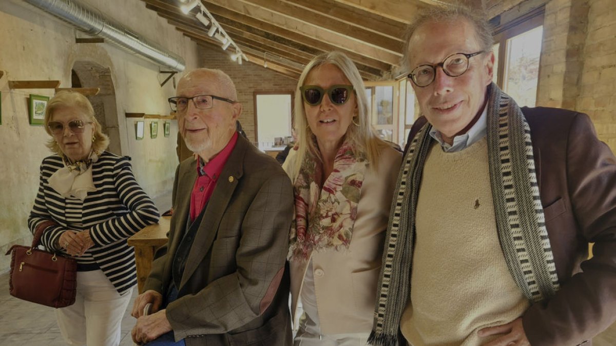 Canvi de rasant - LLUÏSA PLA