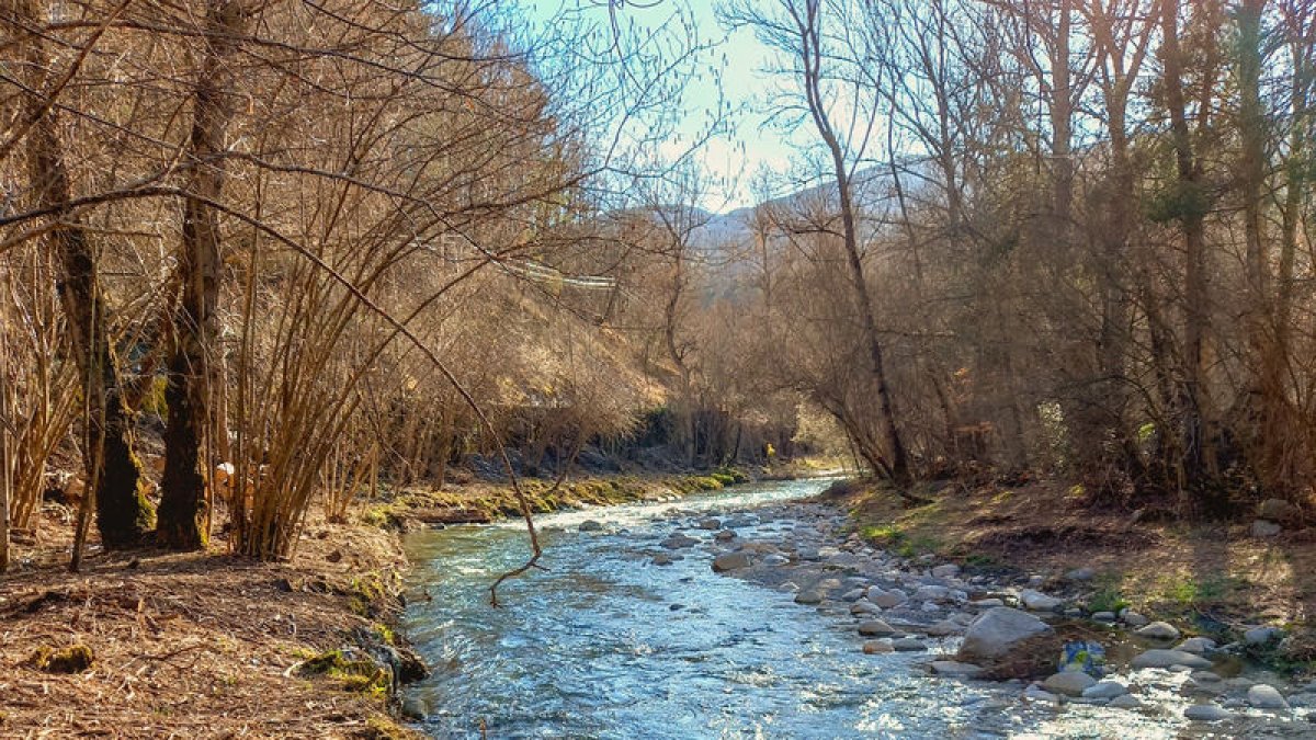 Neteja de cursos a la Noguera Ribagorçana al Pont.