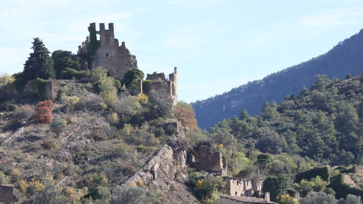 El monte bajo y el arbolado avanzan a un ritmo vertiginoso en el Jussà, homogeneizando el paisaje sobre campos y pueblos abandonados. - EDGAR ALDANA