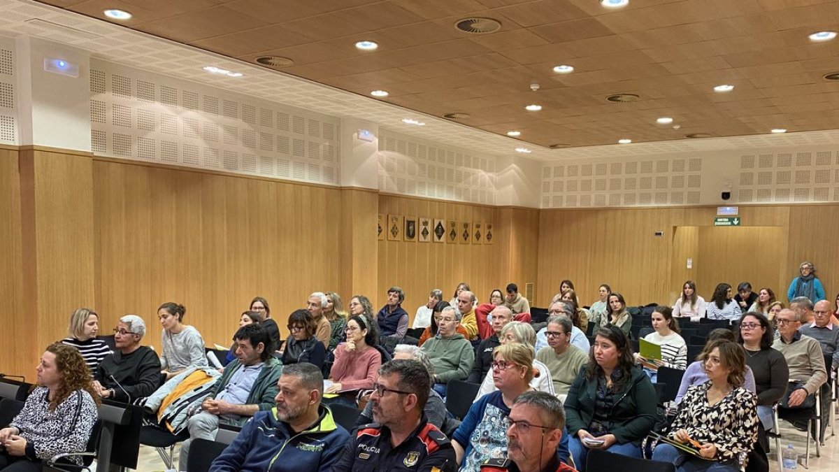 Mesa de Salud Mental en el consell del Pla - CONSELL DEL PLA