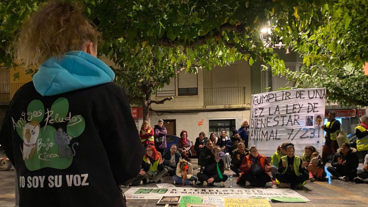 La manifestació va reunir mig centenar d’animalistes. - AMIGOS PELUDOS BAJO CINCA