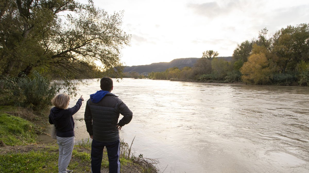 La punta de l’avinguda artificial va passar ahir a la tarda pel Baix Segre amb més de 500 m3/s. - JORDI ECHEVARRIA