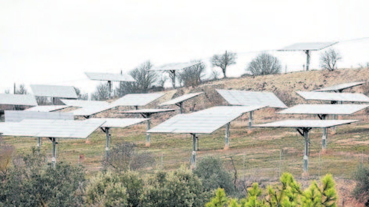 Plantes solars en una finca de Cervera. - X.S.