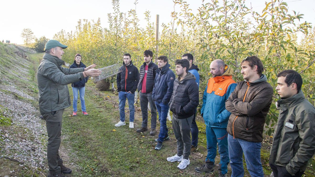 Explicant el funcionament d’aquesta gàbia trampa per a senglars. - LAIA PEDRÓS