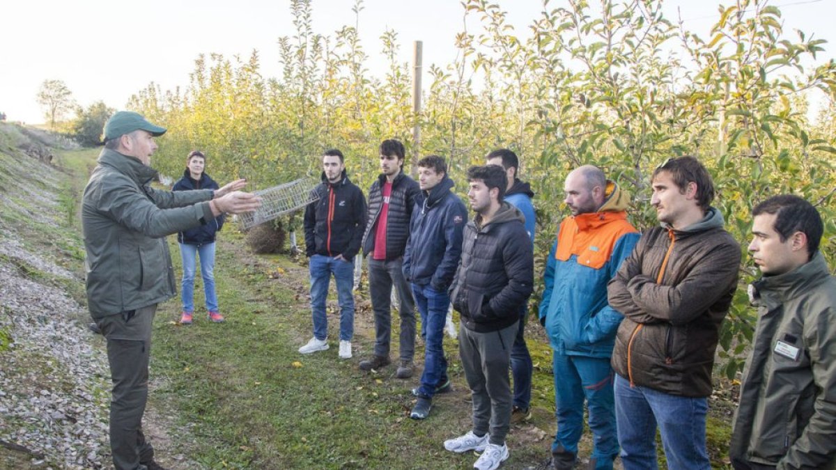 Formen 200 persones per eliminar
conills i reduir danys en l’agricultura