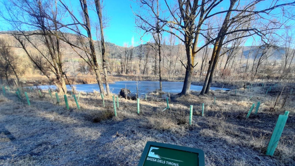 La vía pasará por el paraje de les Basses del Gallissà.