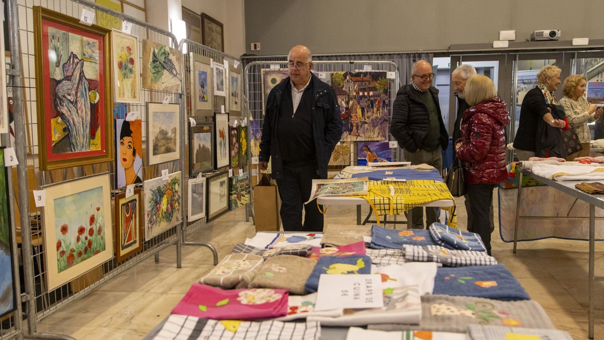 Unos 50 artistas leridanos donan sus obras a beneficio de Mans Unides - JORDI ECHEVARRIA