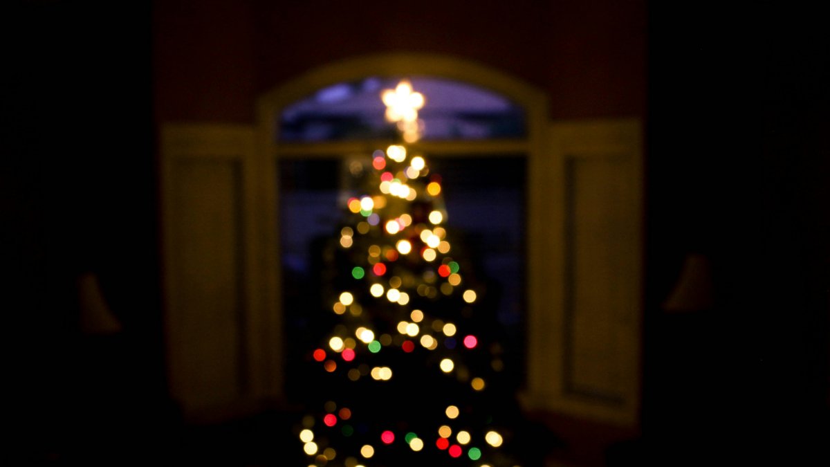 Un árbol de Navidad iluminado.