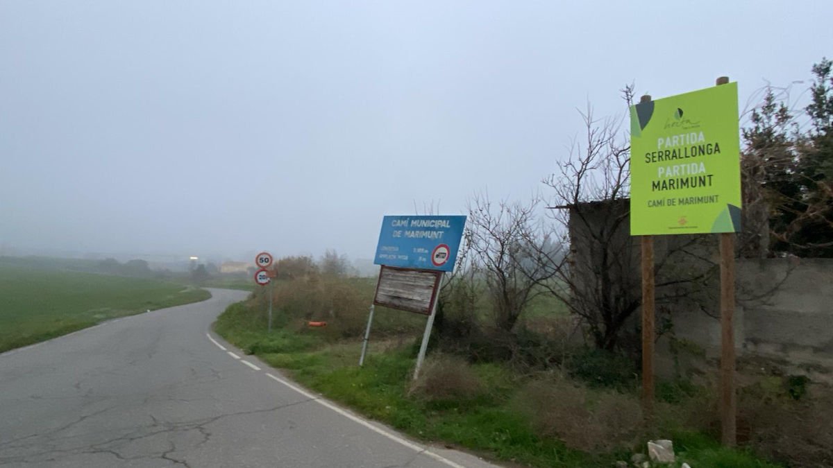 Vista del acceso a la partida de Marimunt. - AMADO FORROLLA