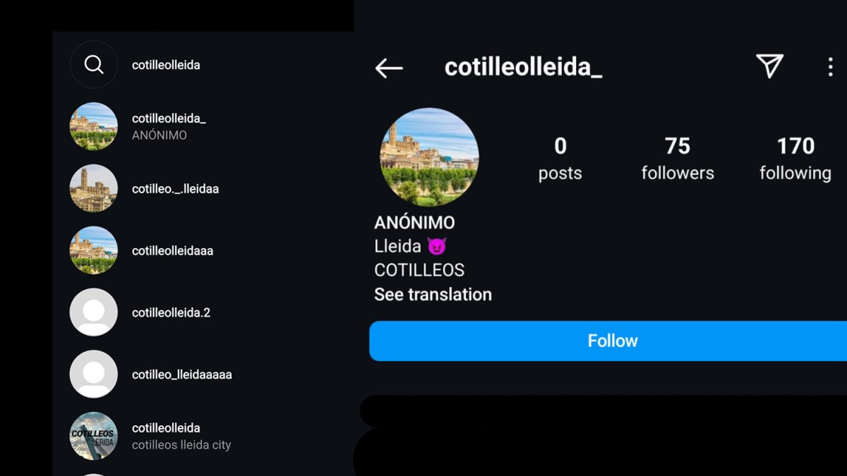 Denuncien un compte d'Instagram que calumniava menors a Sant Cugat del Vallès
