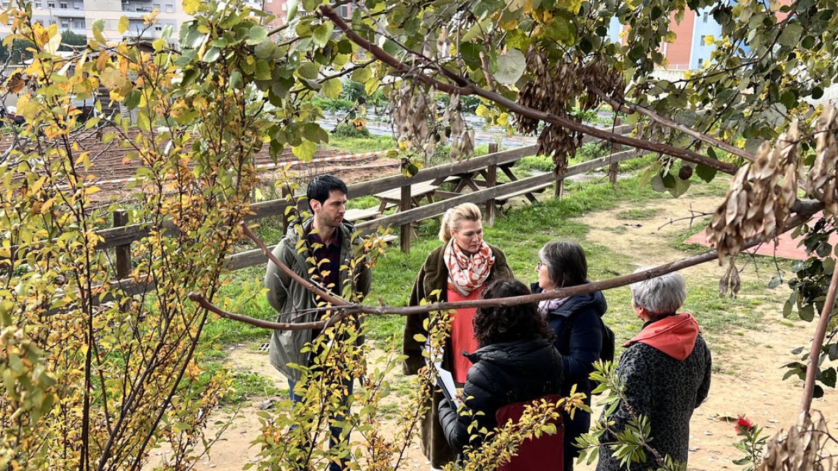 Al col·legi Països Catalans plantaran un bosc mediterrani. - AJUNTAMENT DE LLEIDA