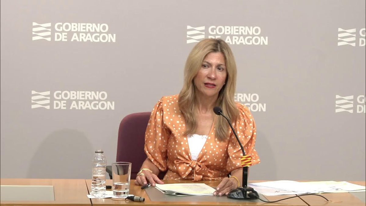 La consellera de Presidència de la DGA, Mar Vaquero. - DGA