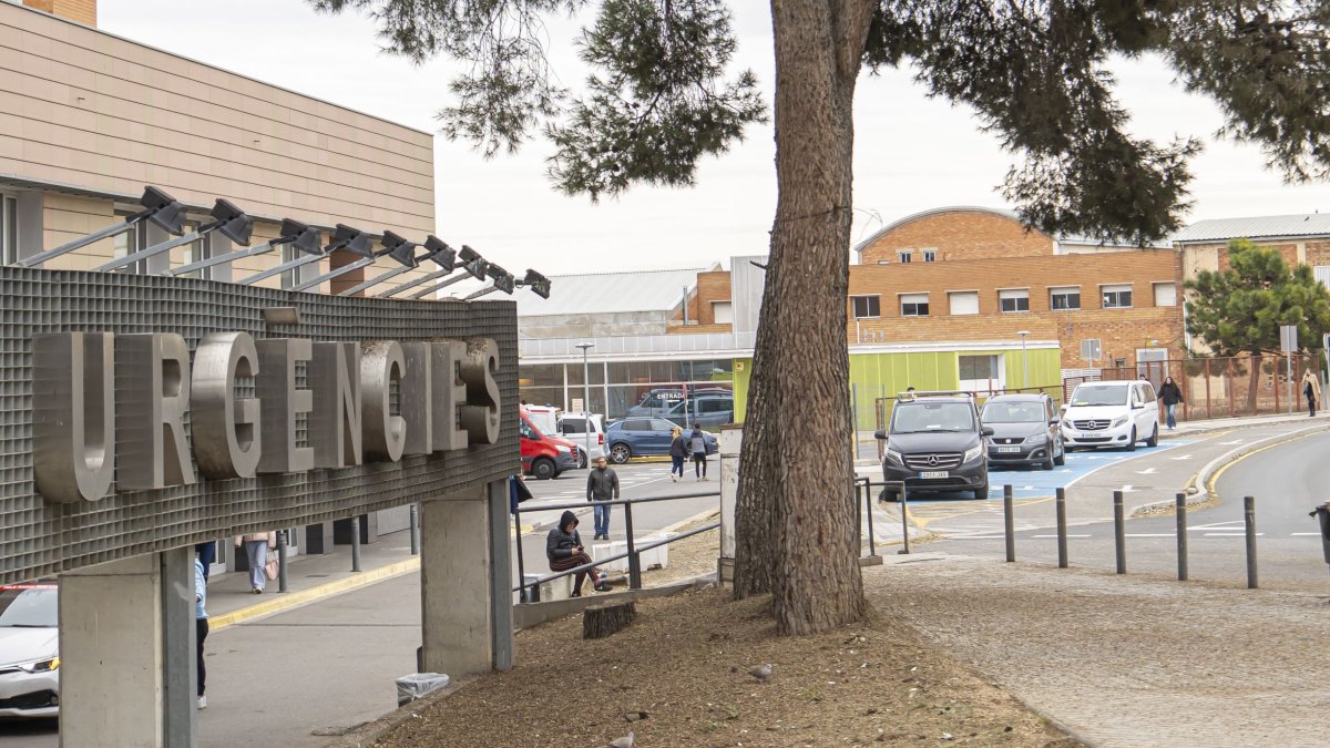 Excrements d’aus als accessos de l'Arnau de Vilanova de Lleida: 