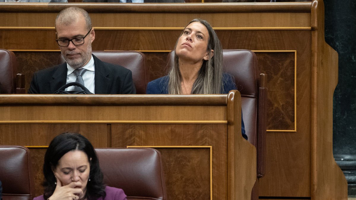 Míriam Nogueras ayer en el Congreso de los Diputados. - EUROPA PRESS