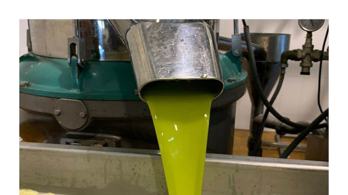 Un dels productes comercialitzats és l’oli d’oliva.