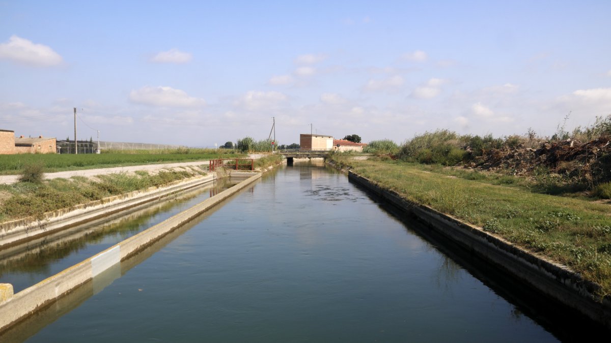 El canal auxiliar de Urgell a la altura de El Palau d'Anglesola