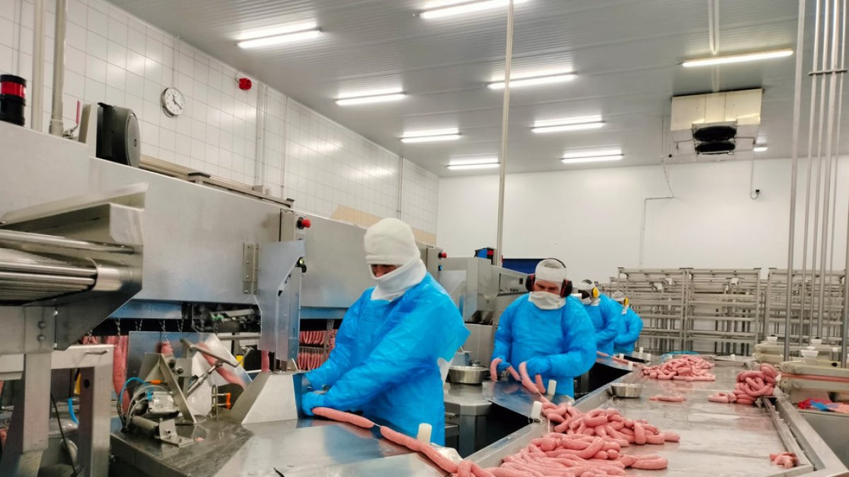 Fabricació d’embotits a la planta d’Argal a Miralcamp. - T. CONTRERAS