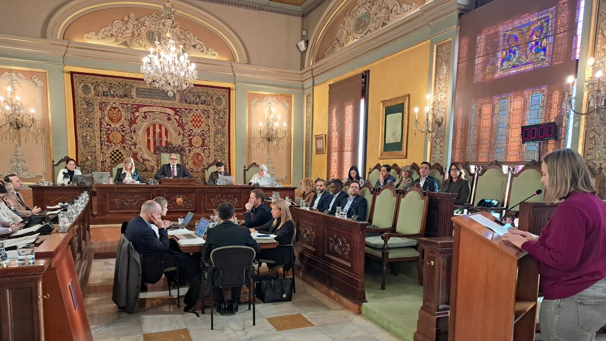 Romina Masip, representant de l’AFA de l’Alba, llegint la declaració institucional per defensar que és mantinguin línies d’I-3 en aquesta escola i en l’Espiga.