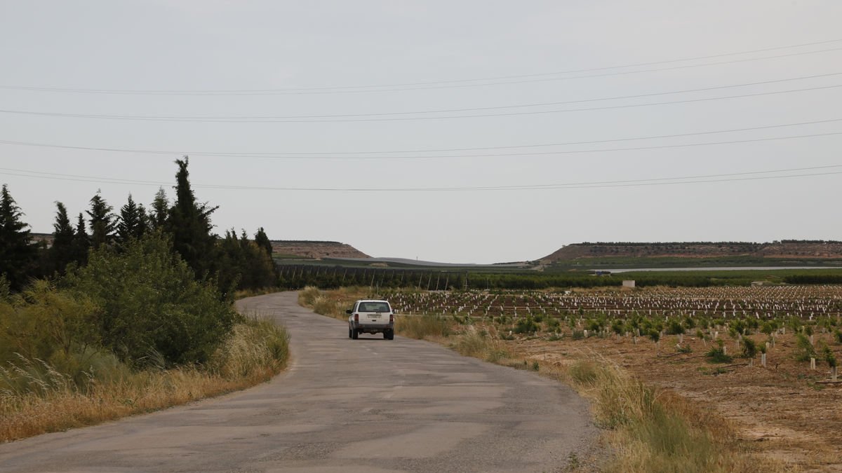 Els camins que uneixen Torres de Segre, Sunyer i Castelldans es convertiran en una carretera provincial. - AMADO FORROLLA