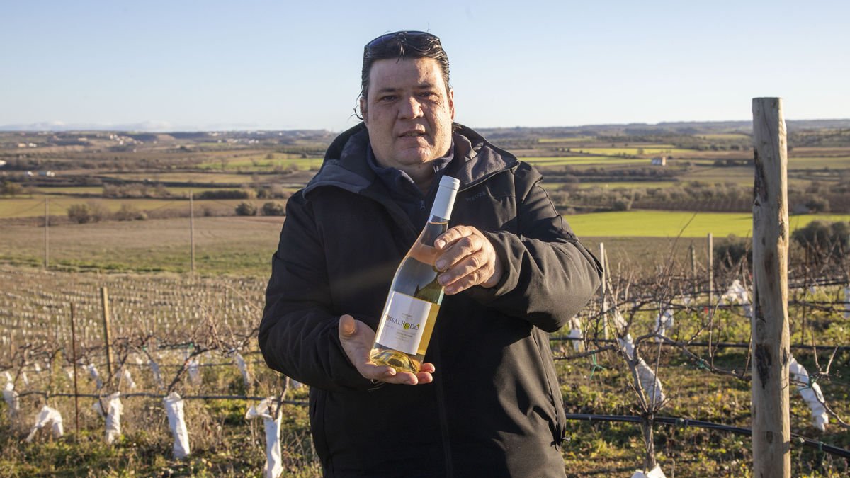 Brufau mostra el vi Tossal Rodó a les vinyes de la finca L’Espina. - LAIA PEDRÓS