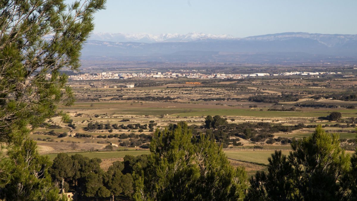 Vista des del santuari de la Bovera de part dels terrenys afectats per un dels projectes. - LAIA PEDRÓS