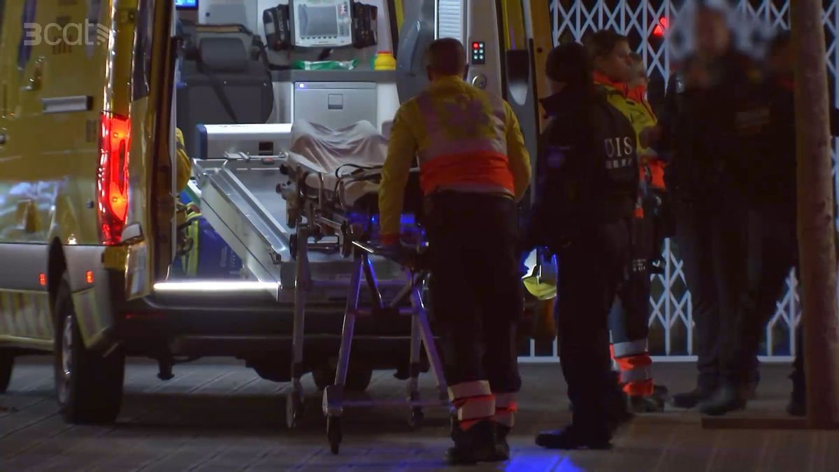 El SEM va examinar el detingut després de ser reduït amb la Taser. - TV3