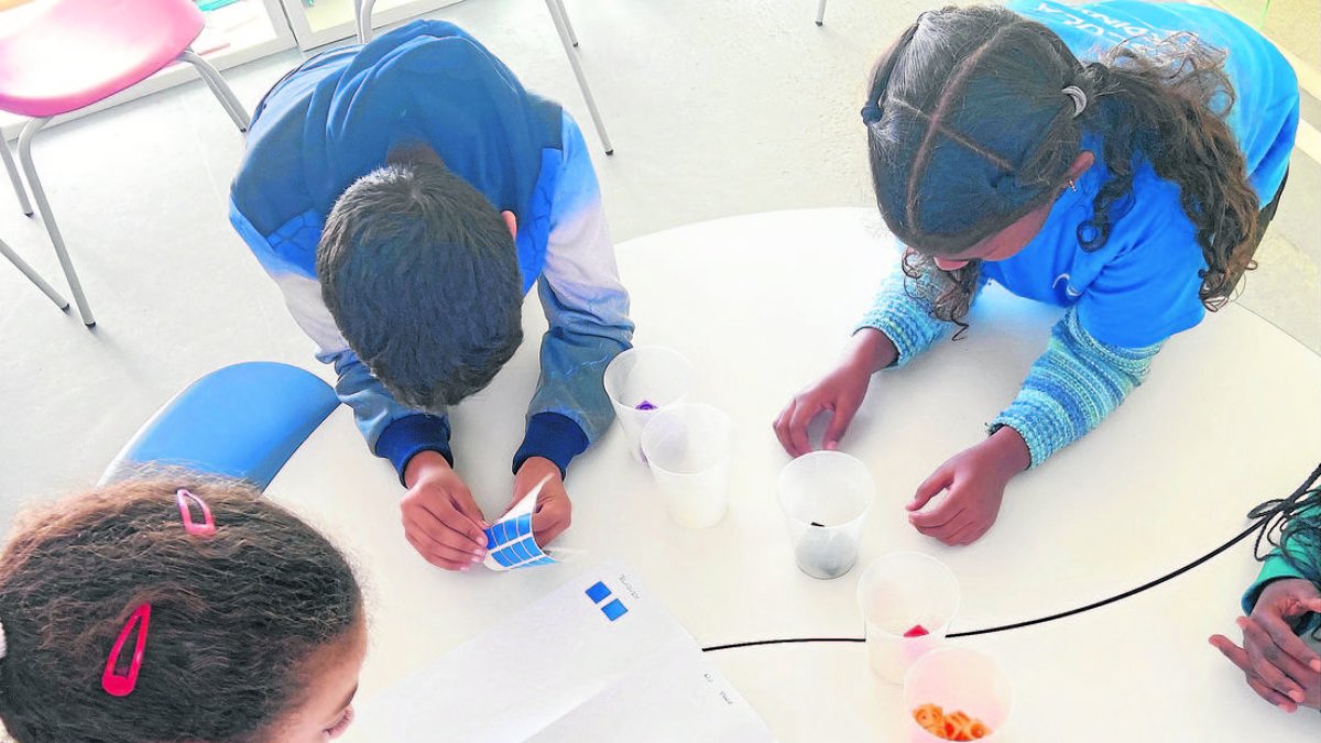 Alumnes del col·legi Pardinyes treballant la competència matemàtica. - INSTITUT MANUEL DE MONTSUAR