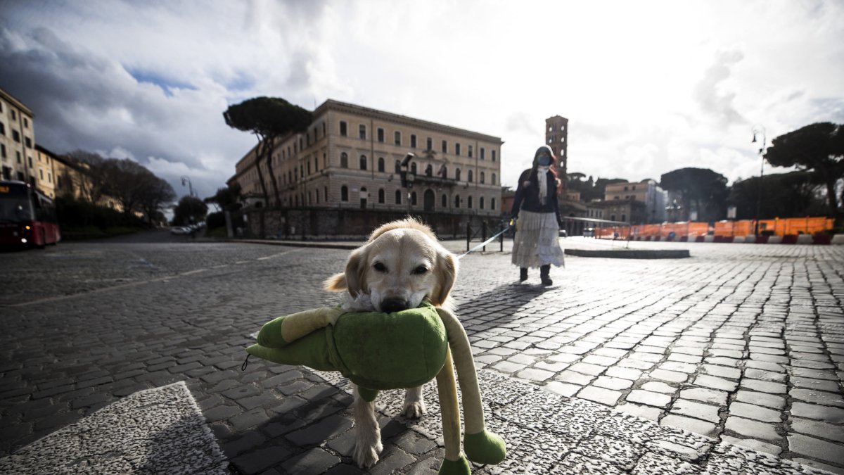 En la imagen de archivo, una mujer pasea a su perro en una calle.