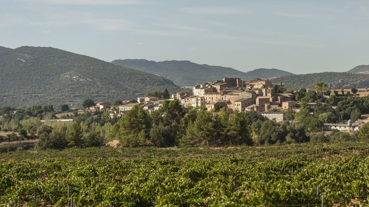 Zona NOGUERA - BLUECOLLECTORS