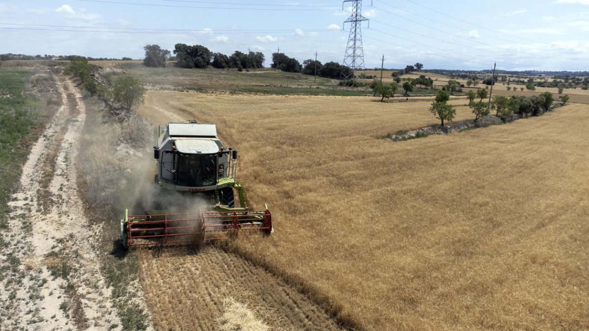 Maquinària treballant durant la collita de cereals a la Segarra.