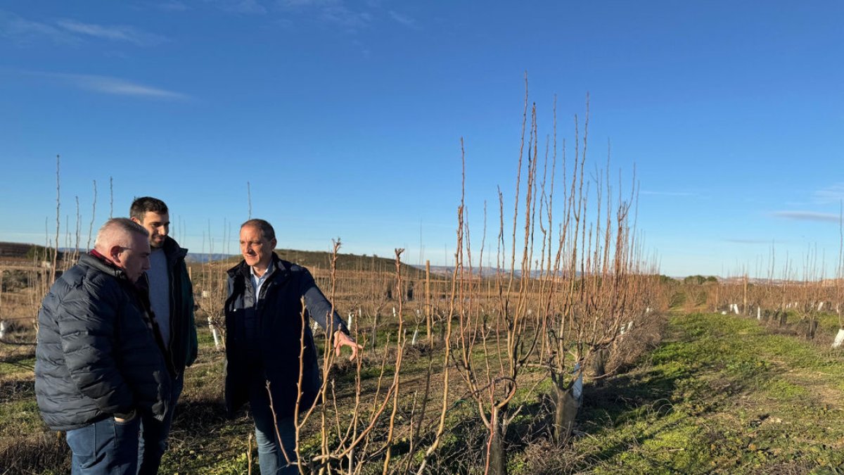 Crespín visitó junto al líder de Asaja en Lleida una finca en Aitona. - SUBDELEGACIÓN DEL GOBIERNO DE LLEIDA