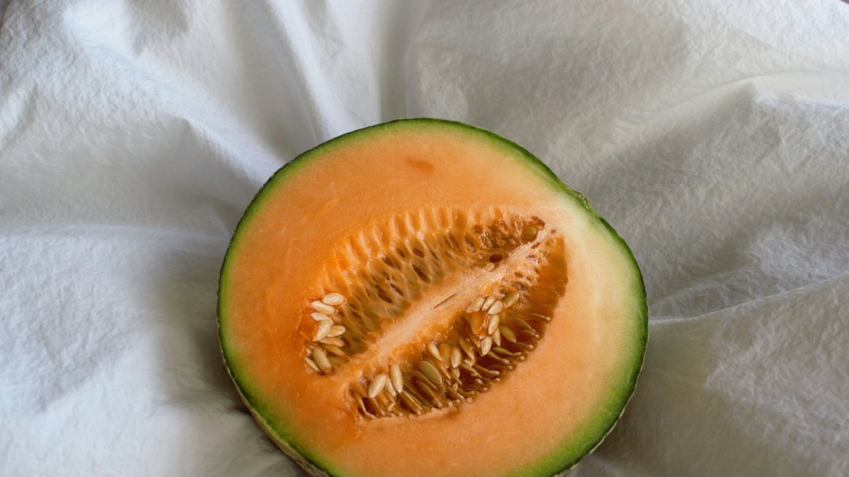 Un melón.