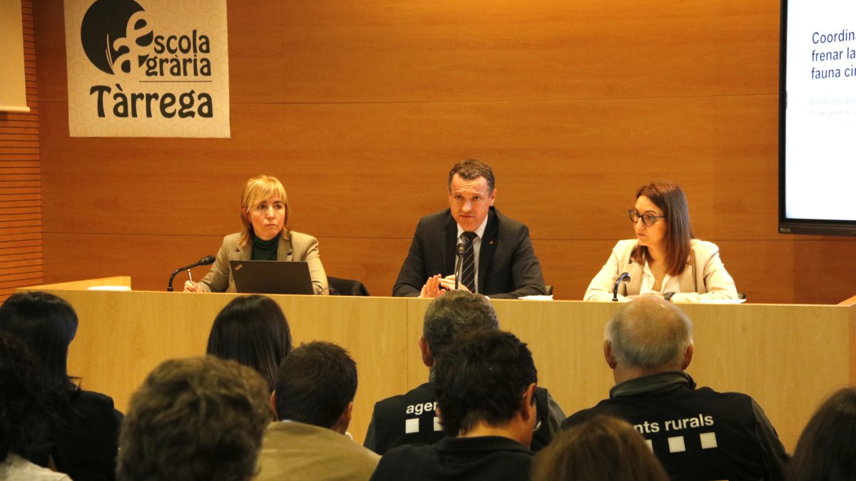 El conseller d'Agricultura, Ramaderia, Pesca i Alimentació, Òscar Ordeig, durant la reunió sobre la sobrepoblació de fauna cinegètica a Tàrrega.