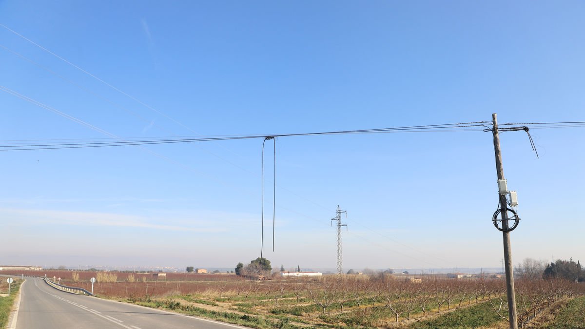 Estado de los cables de la red de Telefónica en la población. - MAGDALENA ALTISENT