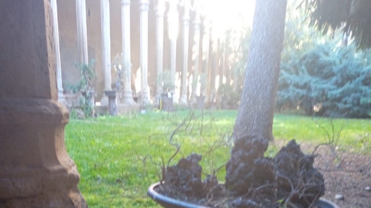 Una foto de Junts per Balaguer del claustro de Sant Domènec. - JUNTS NOGUERA