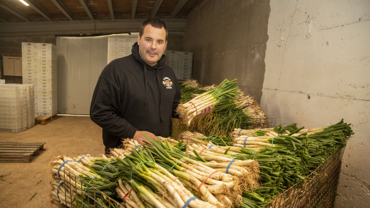 Mia Iglesias mostrant uns calçots preparats per viatjar fins a Madrid.