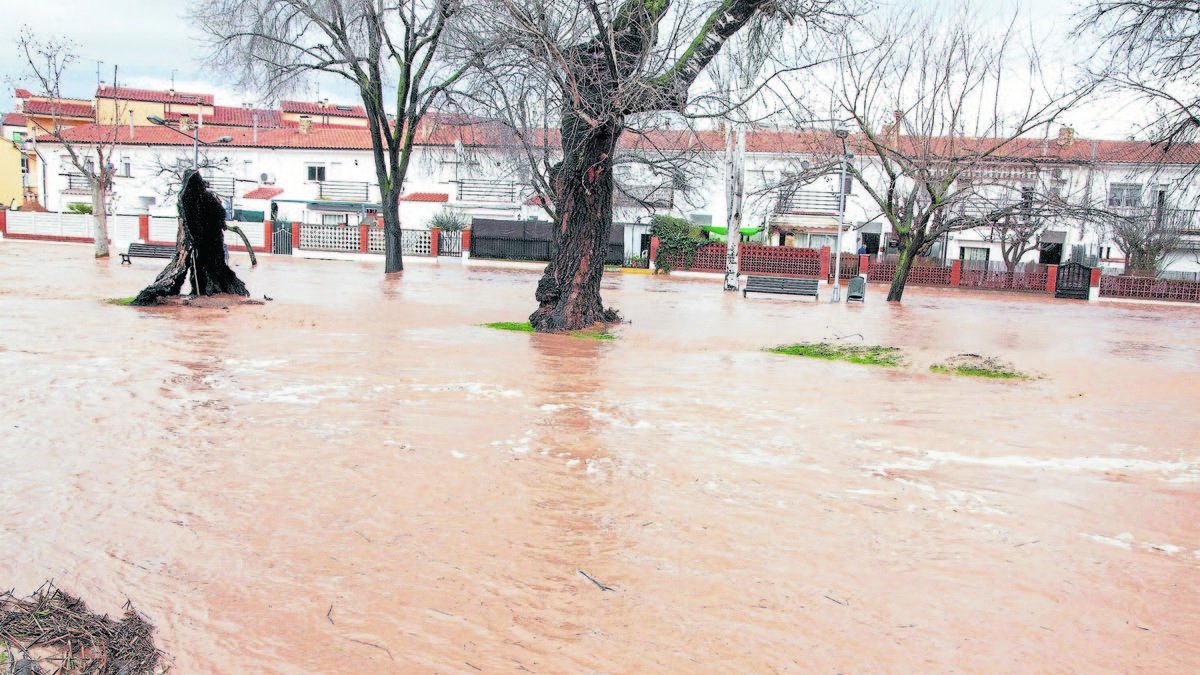 En Agramunt se desbordó el río Sió tras el temporal Gloria. - LAIA PEDRÓS