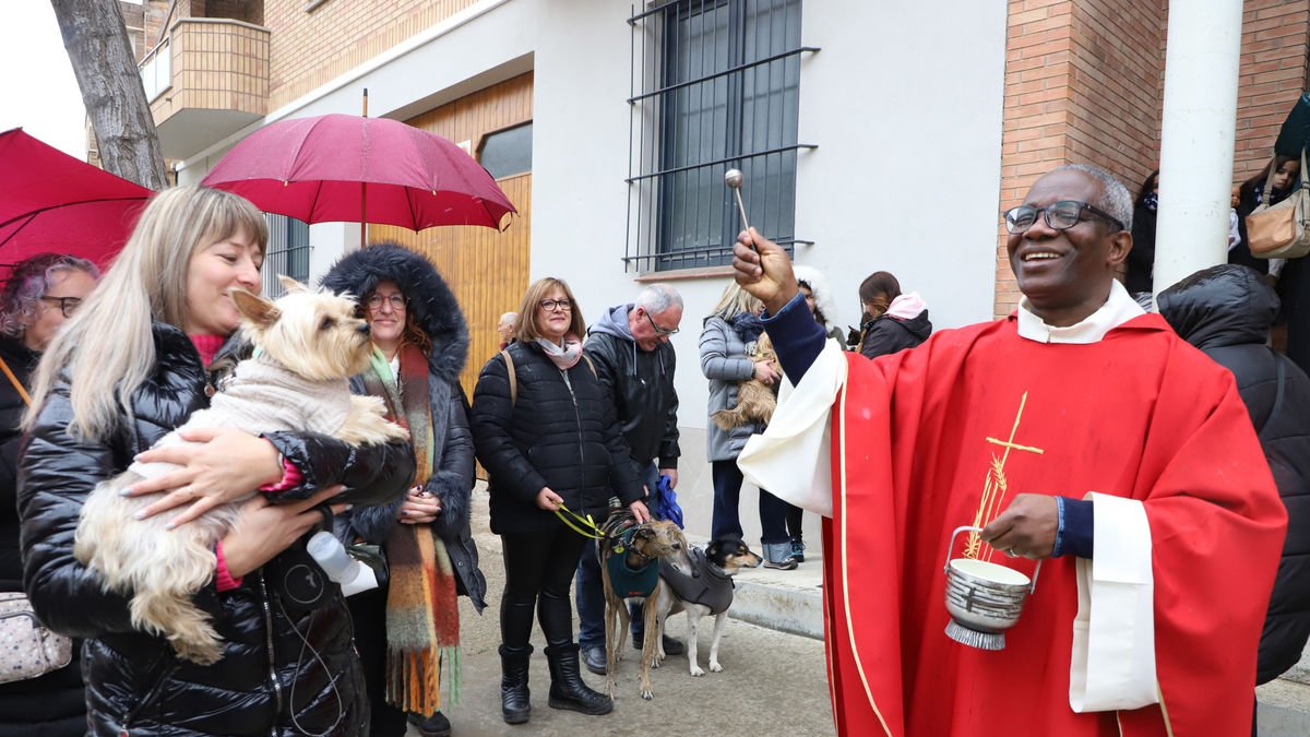 Els veïns van portar ahir les seues mascotes per ser beneïdes a Alcarràs. - JORDI CURCÓ